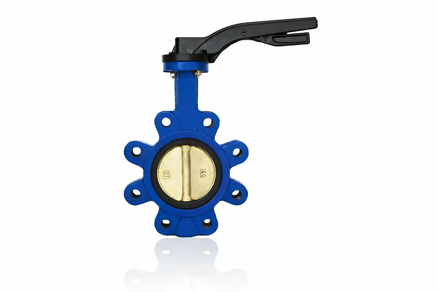 Lug kelebek vana AISI 316 klapeli viton contalı DN150 6″ Kollu