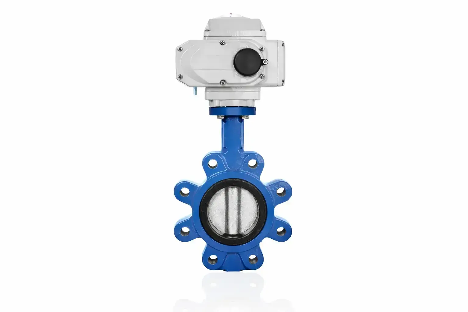 Lug kelebek vana AISI 316 klapeli viton contalı DN300 12″ 24V DC elektrik aktüatörlü