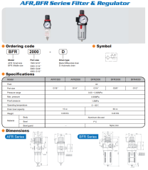 1/4'' Filtre Regülatörü – Brotech AFR2000