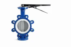 Lug kelebek vana AISI 304 klapeli viton contalı DN65 2 1/2″ Kollu